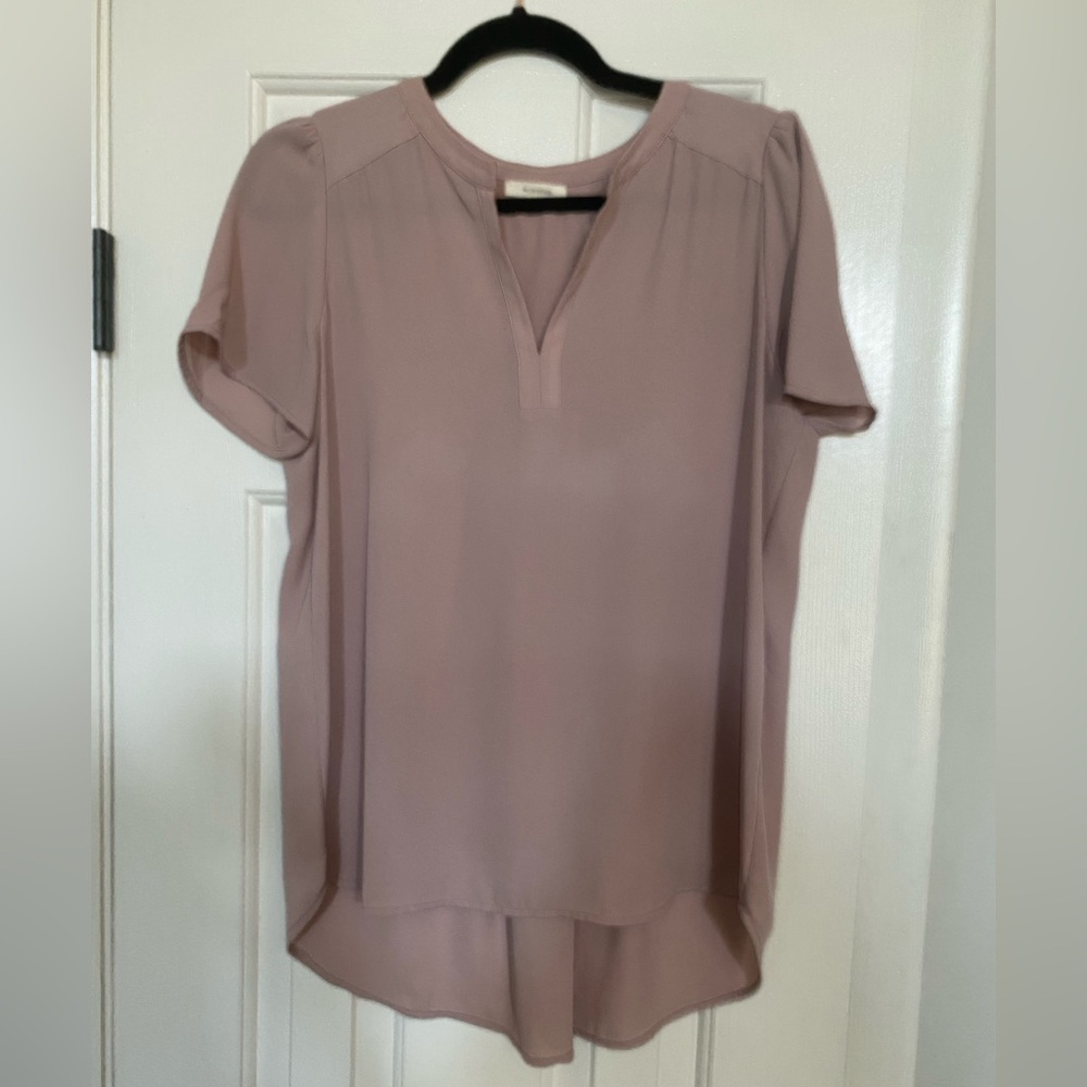 Pleione Soft Pink Short Sleeve Blouse XS